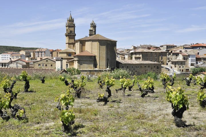 Rioja alavesa elciego pueblo y viñedos