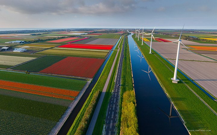 Vista aérea de campos de flores en los Países Bajos