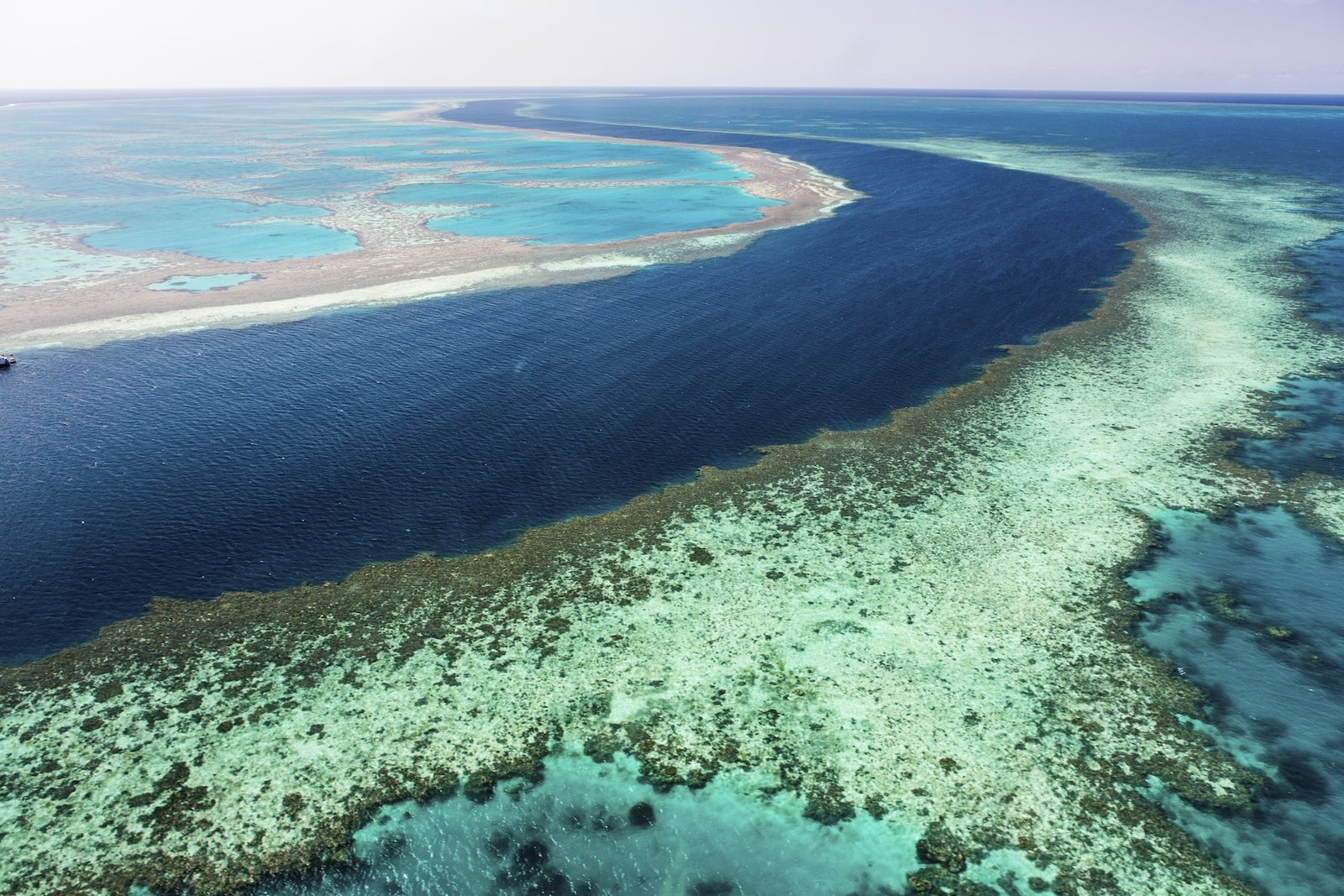Países más grandes: La Gran Barrera de Coral, en Australia