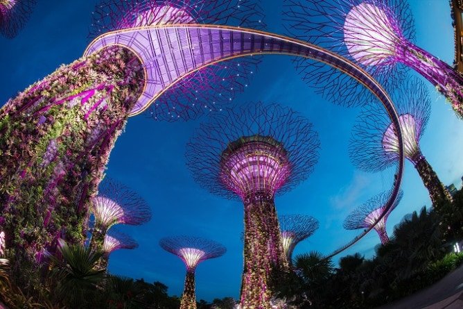 Los árboles vivientes de Singapur, una de las grandes atracciones del país, en una película de viajes